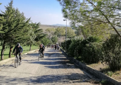 Il gruppo dei turisti danesi in bici nei pressi della diga di San Giuliano